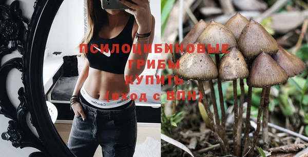 сатива Белокуриха