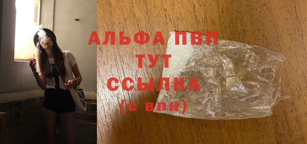 сатива Белокуриха