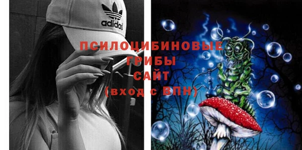 сатива Баксан