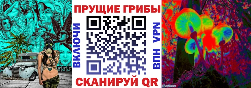 Галлюциногенные грибы Psilocybe  Лебедянь 