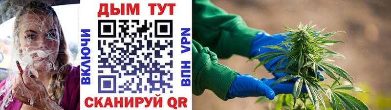 Бошки марихуана планчик Лебедянь